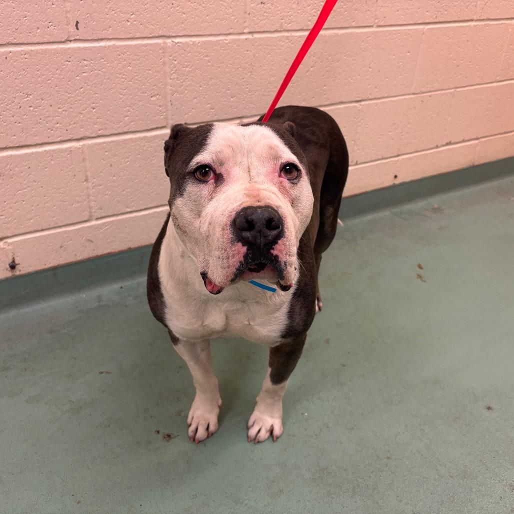 Anthony — thumbnail 2