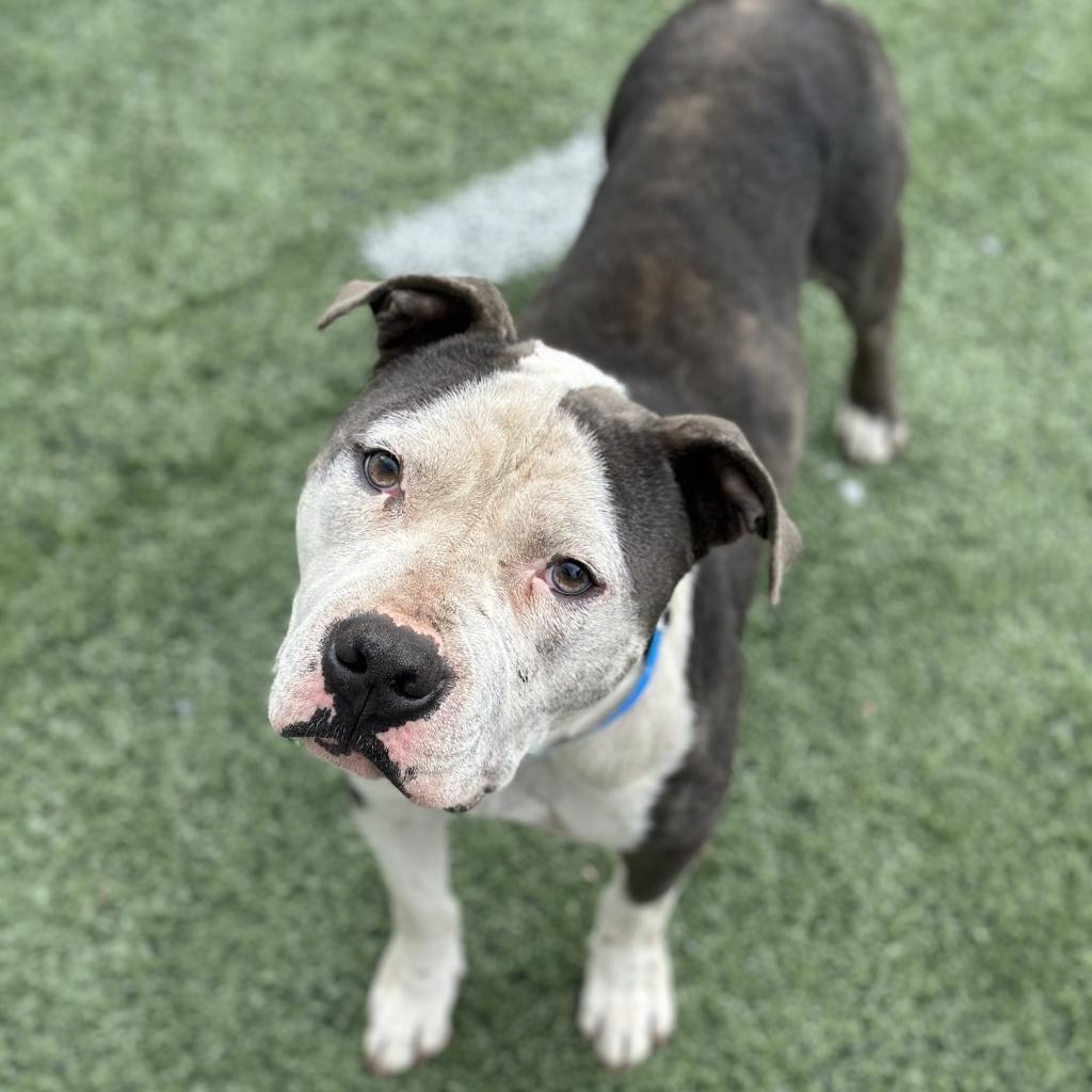 Anthony — thumbnail 3