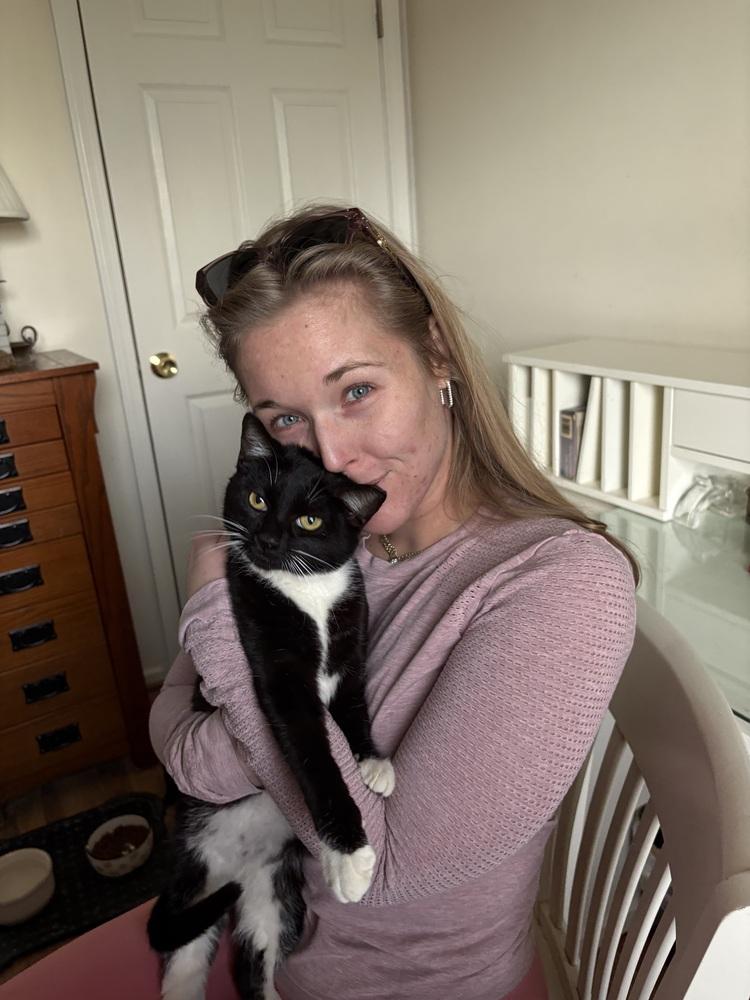 Enlarge Tyler, a Adoptable mixed breed in Vienna , VA image 2/2