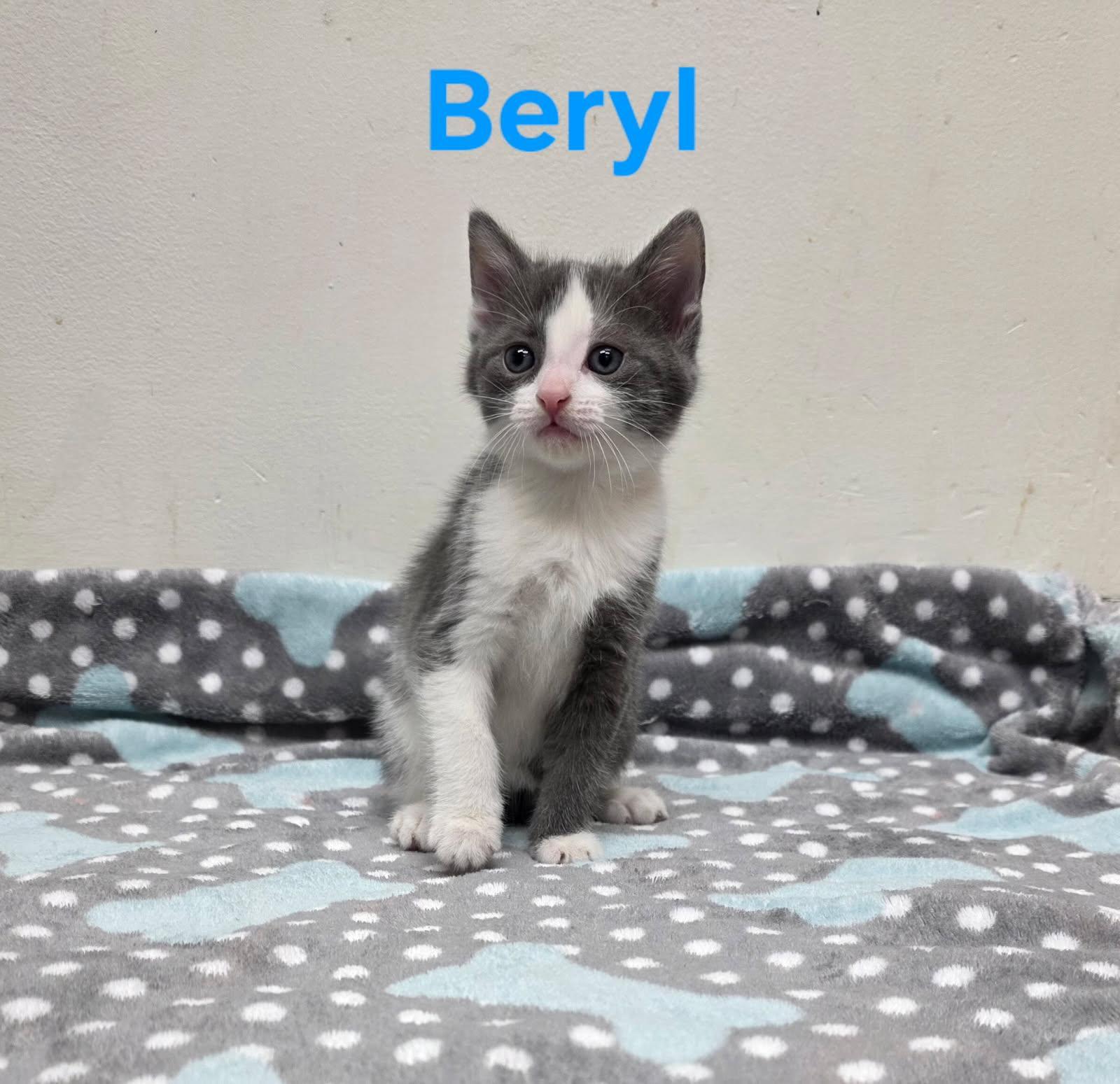 Beryl