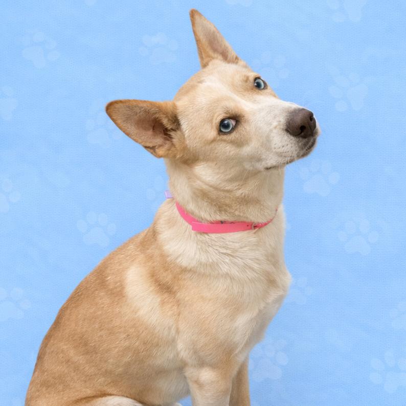 Alice — thumbnail 2