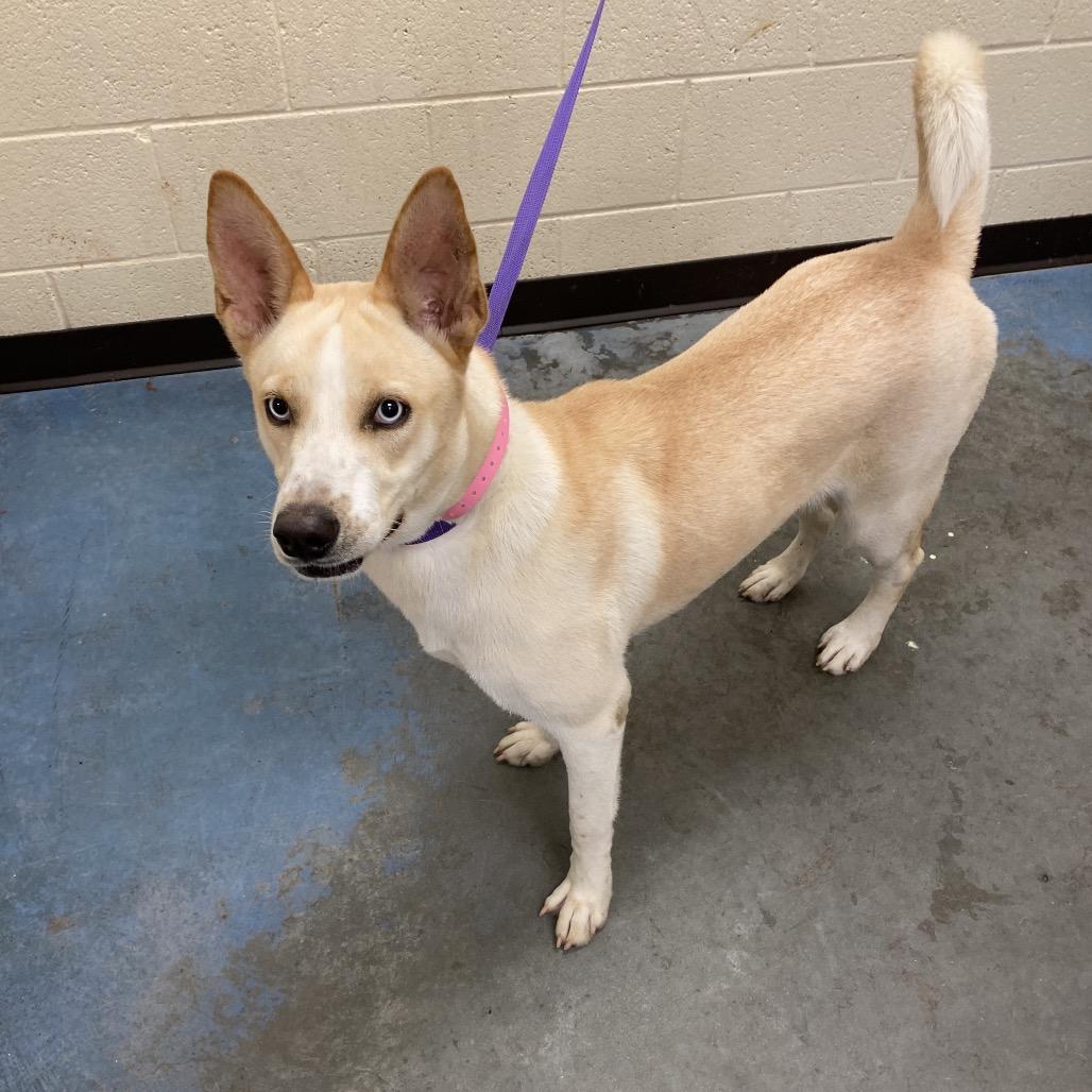 Alice — thumbnail 3