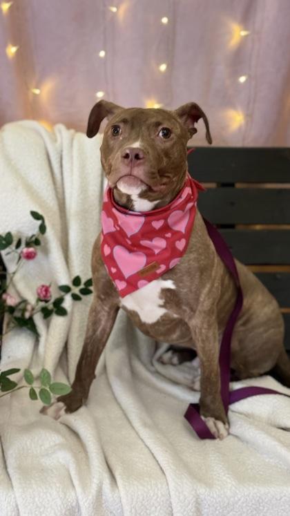 Arlo — thumbnail 2