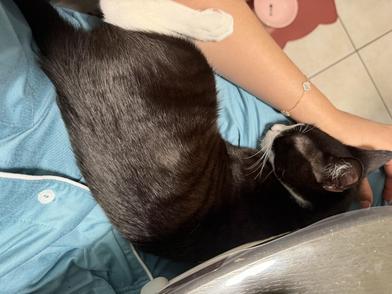 Patch — thumbnail 6