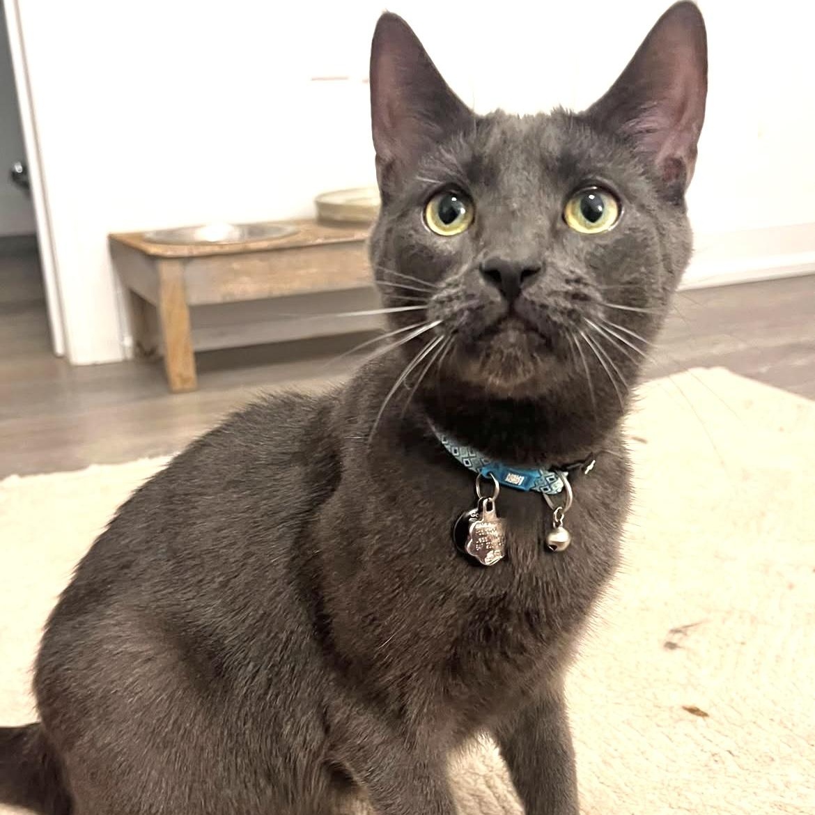SESAME