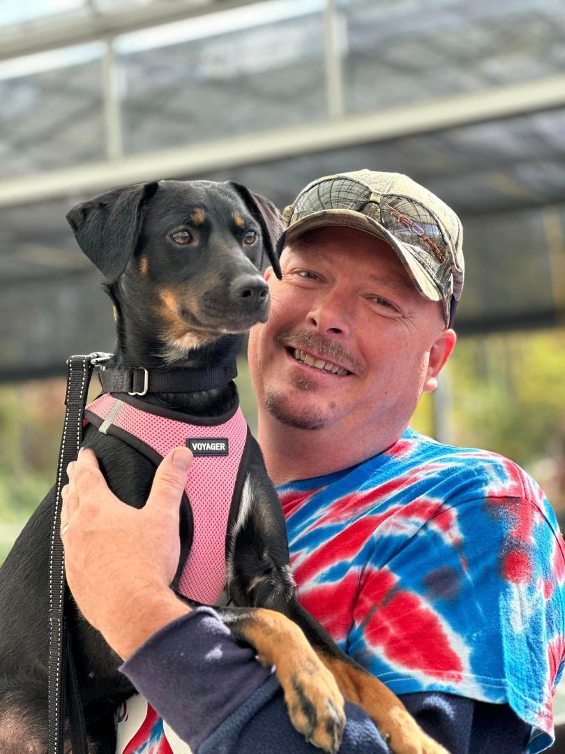 Poppy, a Adoptable mixed breed image 3/6