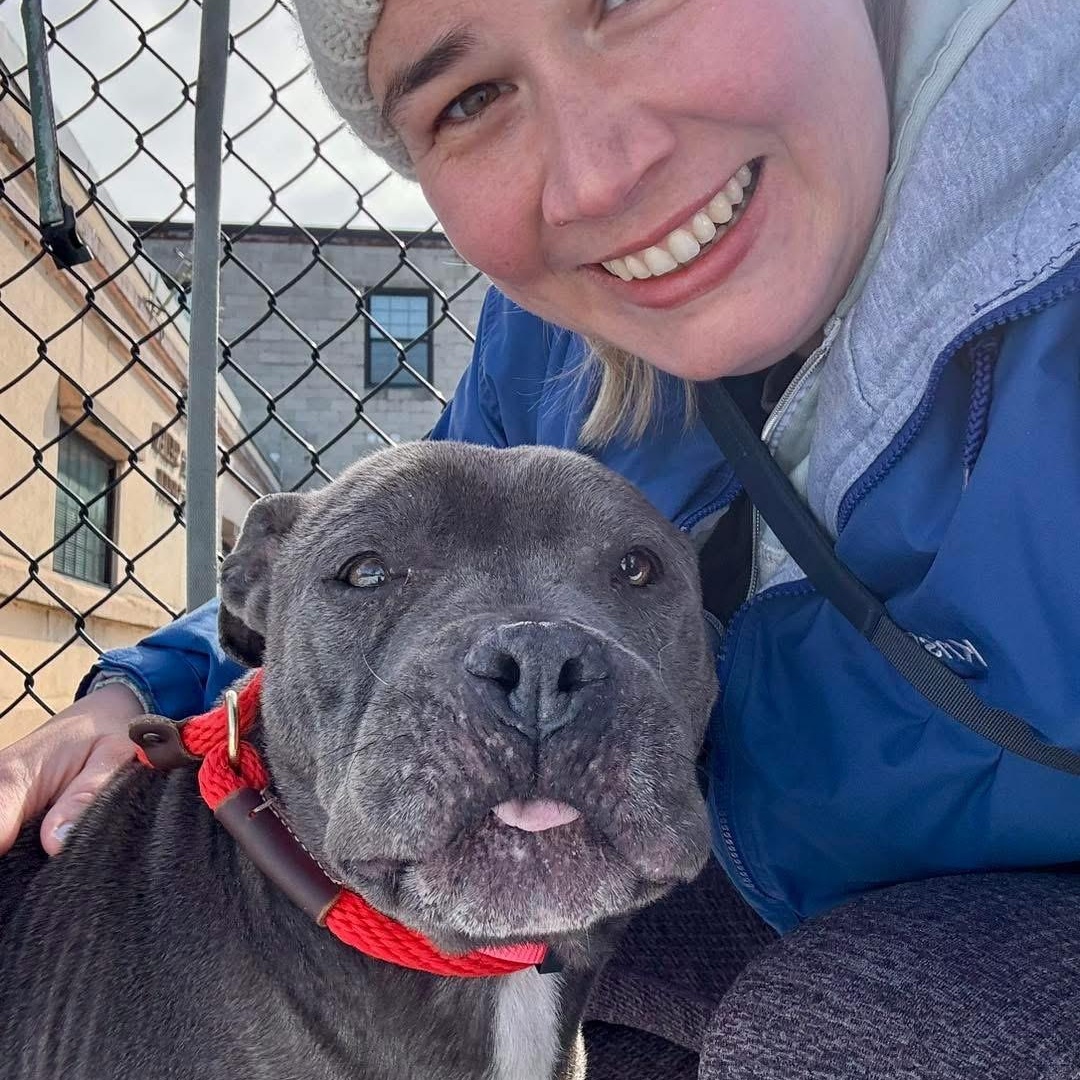 Enlarge Madea, a ADOPTABLE mixed breed in Buffalo, NY image 5/6