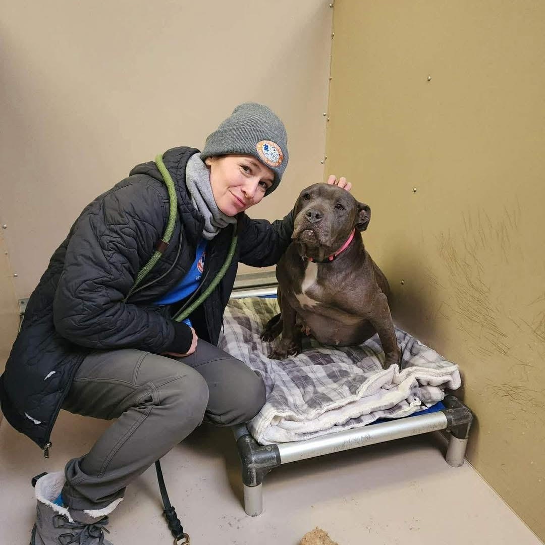 Enlarge Madea, a ADOPTABLE mixed breed in Buffalo, NY image 3/6