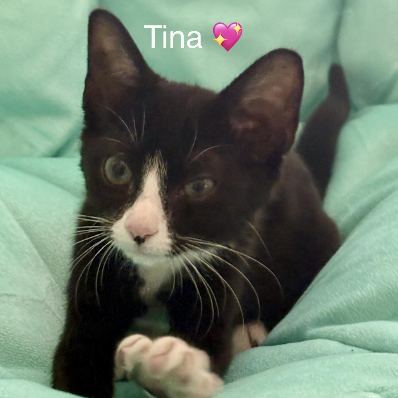 Tina