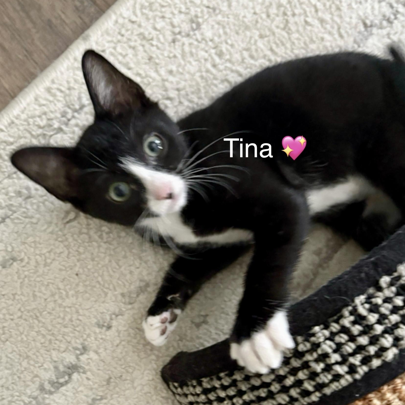 Tina