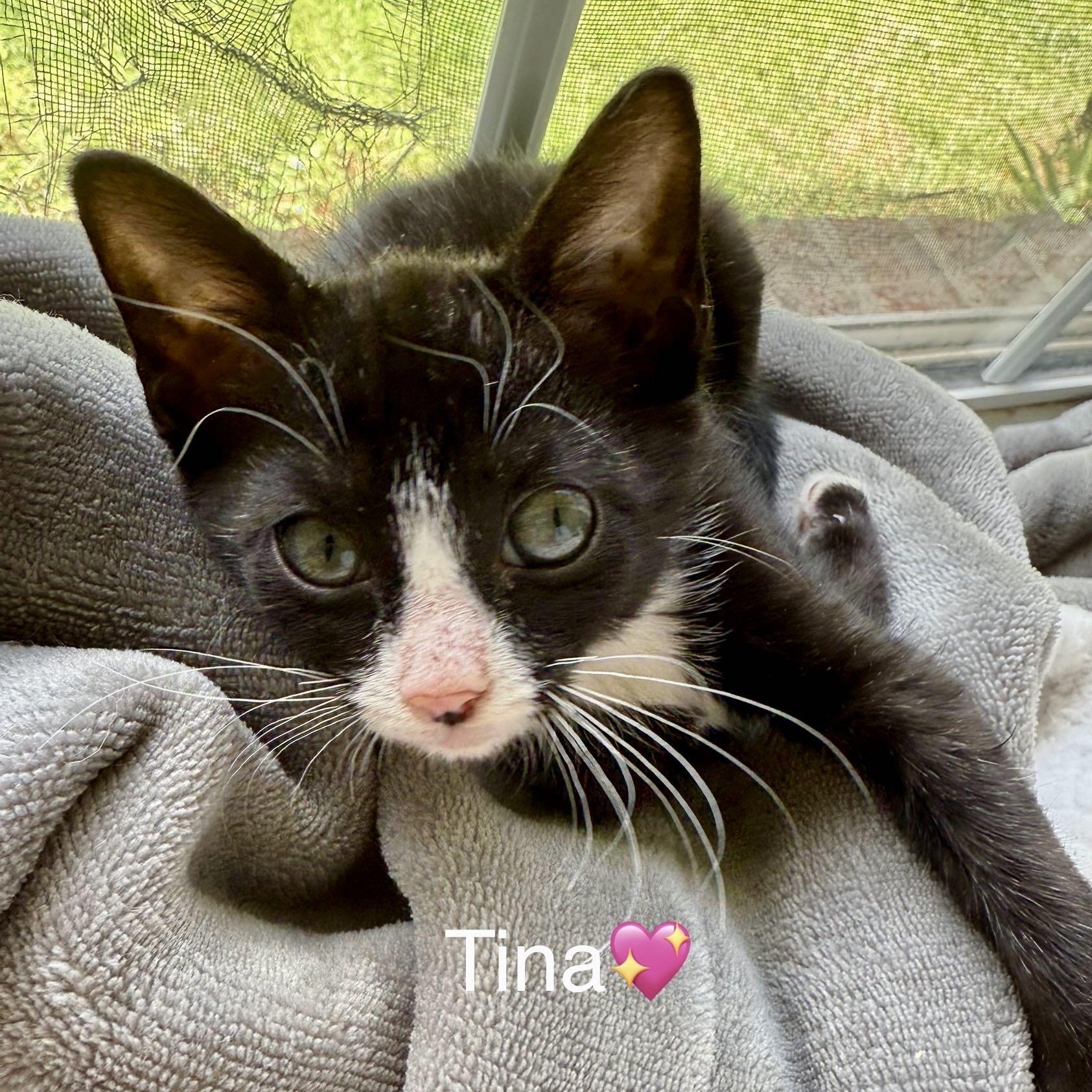 Tina