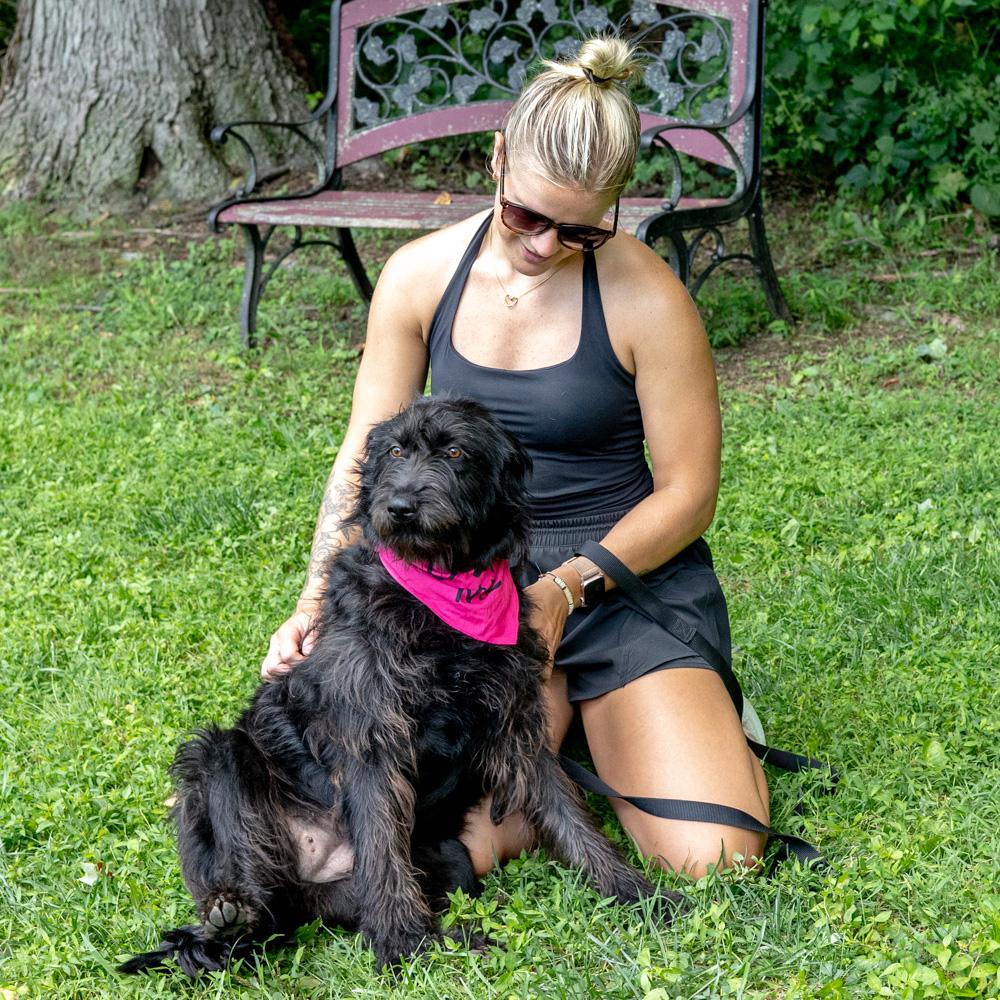 Allie (Female), a Adoptable mixed breed in West Grove, PA image 4/6