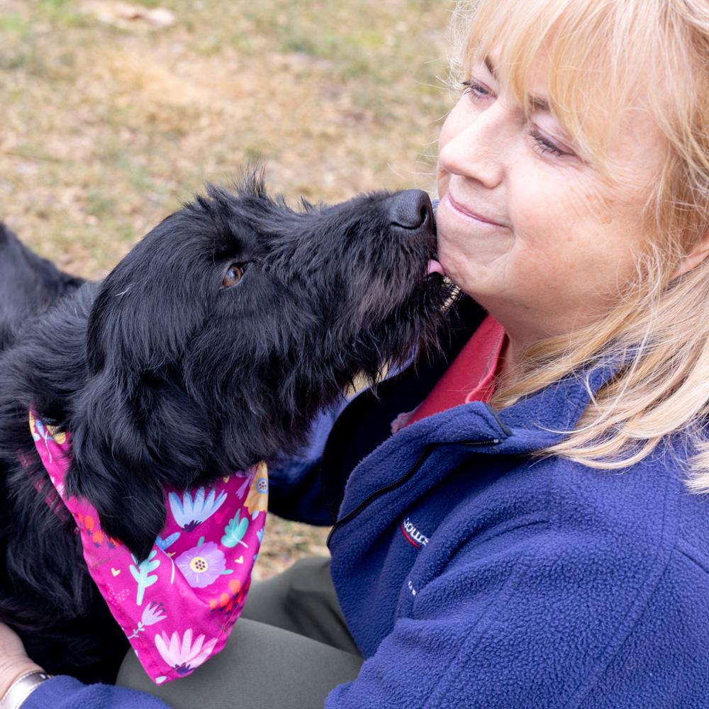 Enlarge Hallie  (Female)    , a Adoptable mixed breed in West Grove, PA image 5/6