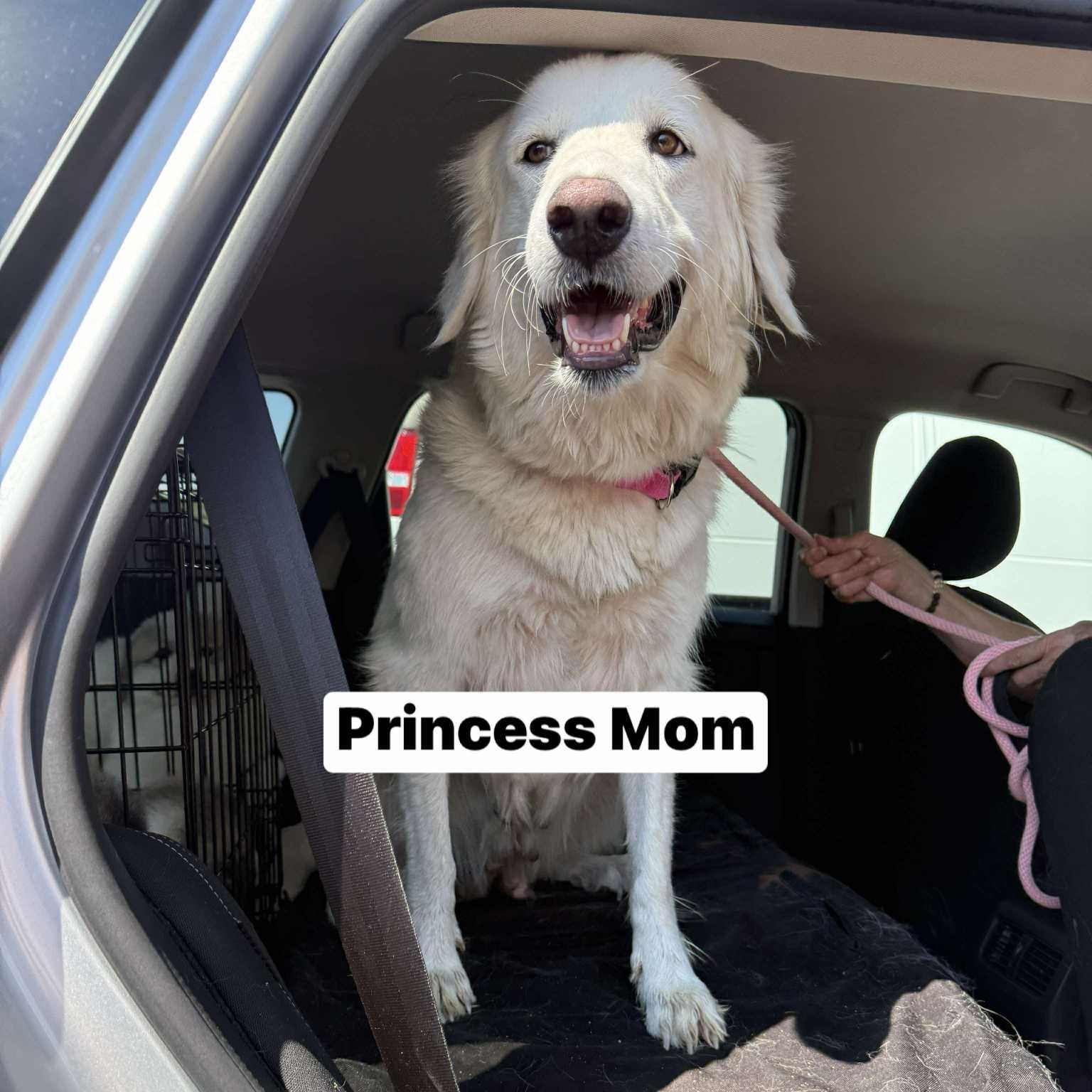 Princess