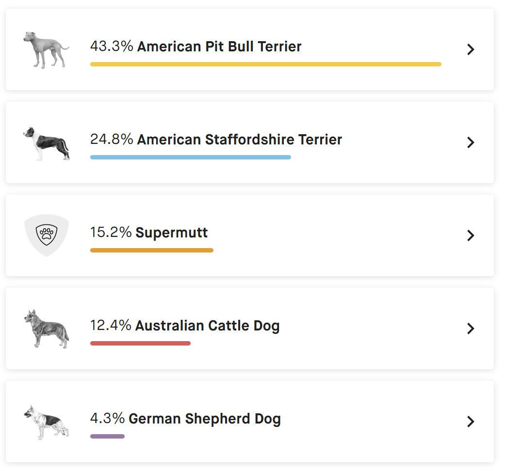 Enlarge Miss Moffat, a Adoptable mixed breed in Elk, WA image 2/2