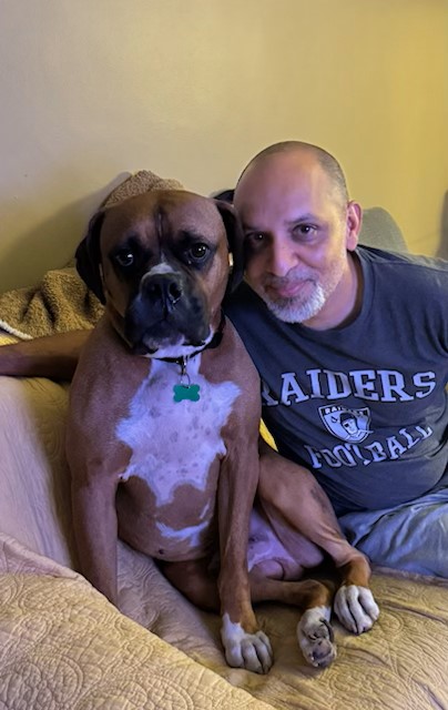 Enlarge Buford, a Adoptable Boxer in Los Angeles, CA image 4/6