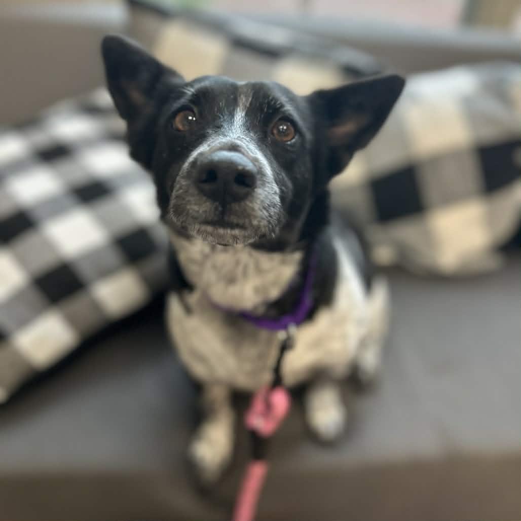 Little Bit — thumbnail 2