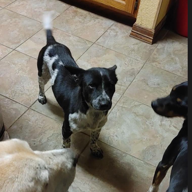 Little Bit — thumbnail 3