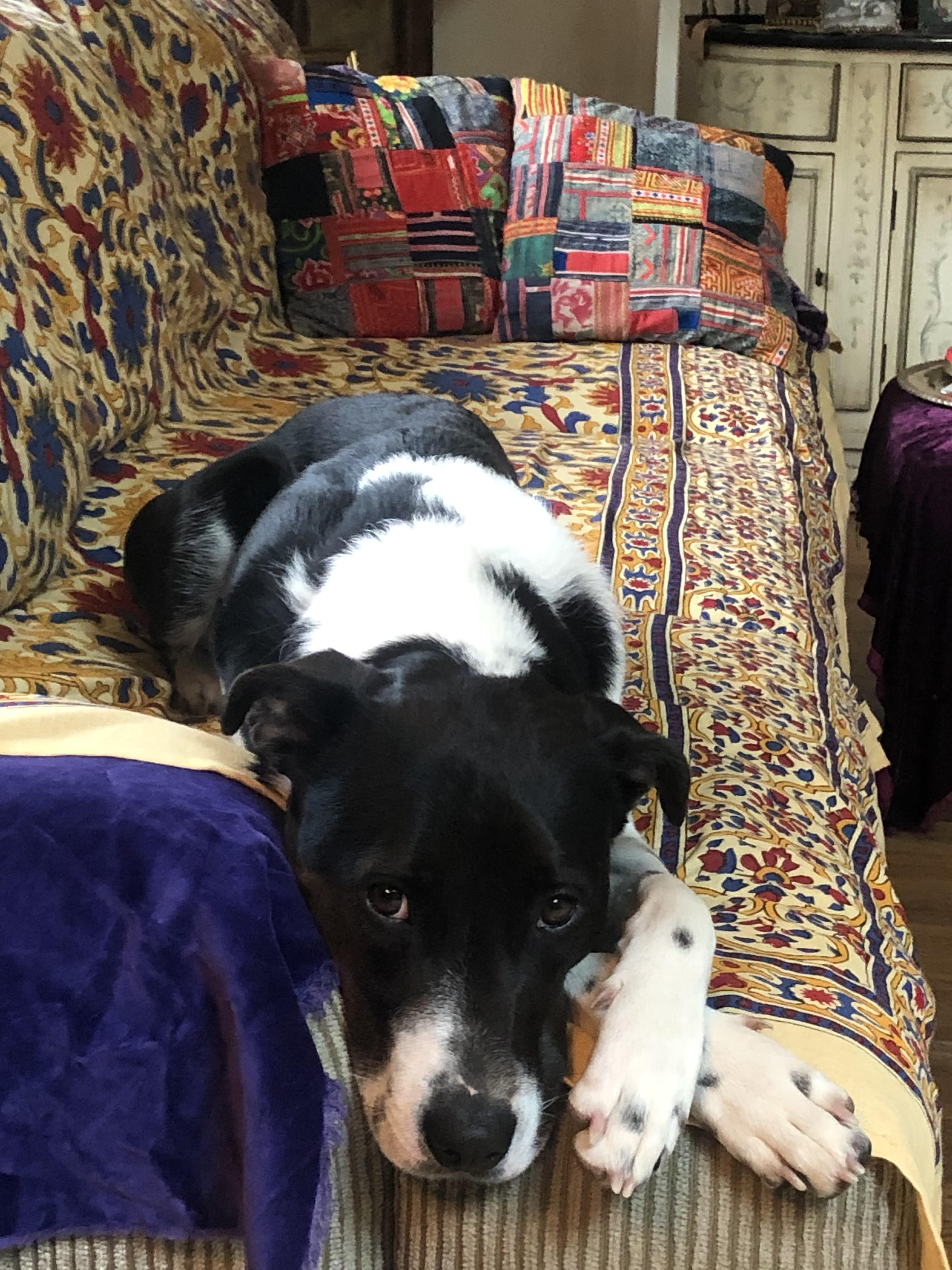 Bree  Maxi  thumbnail 3