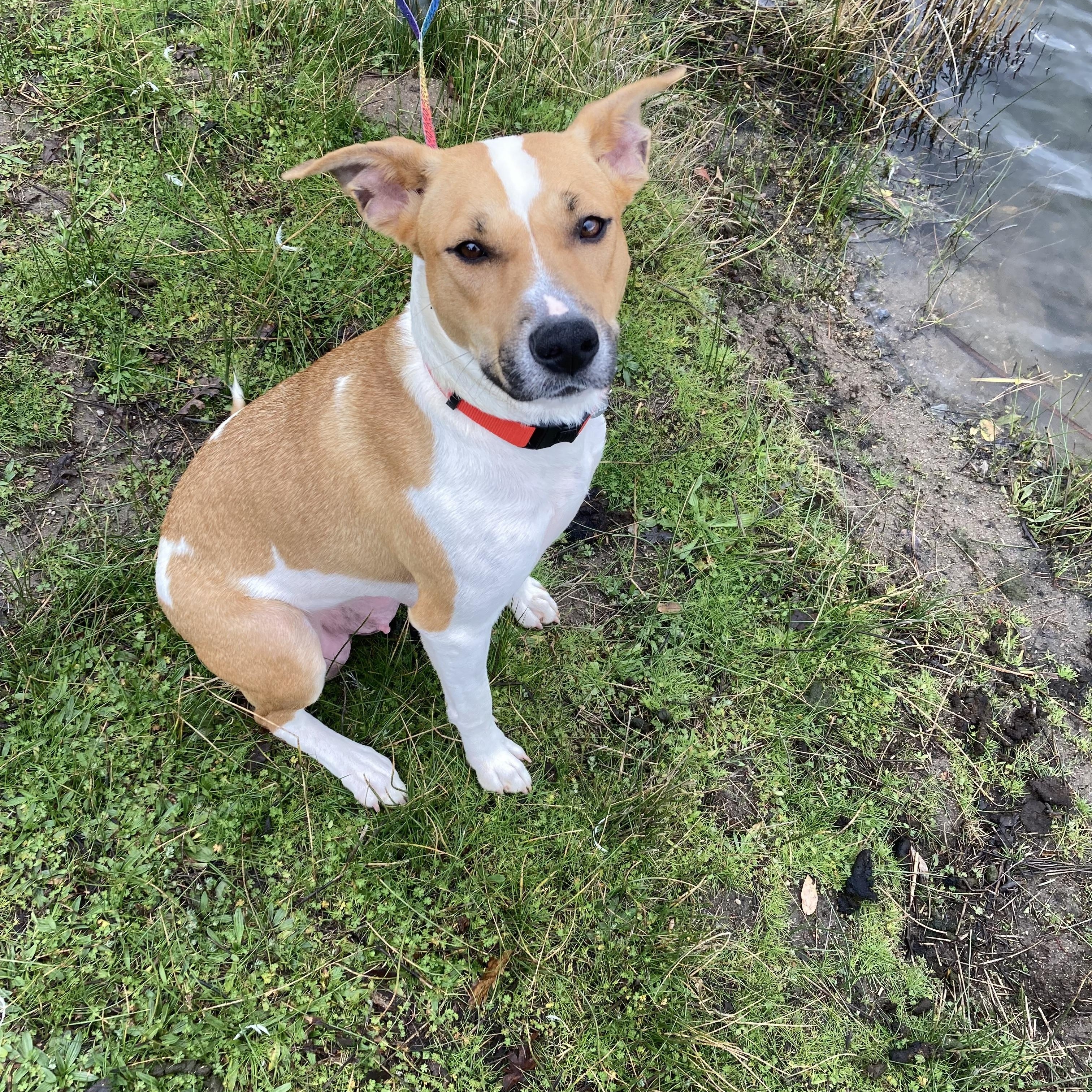 Cheyenne — thumbnail 5