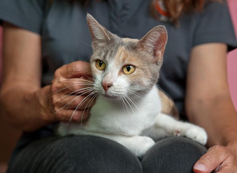 Holly Hobby — thumbnail 4