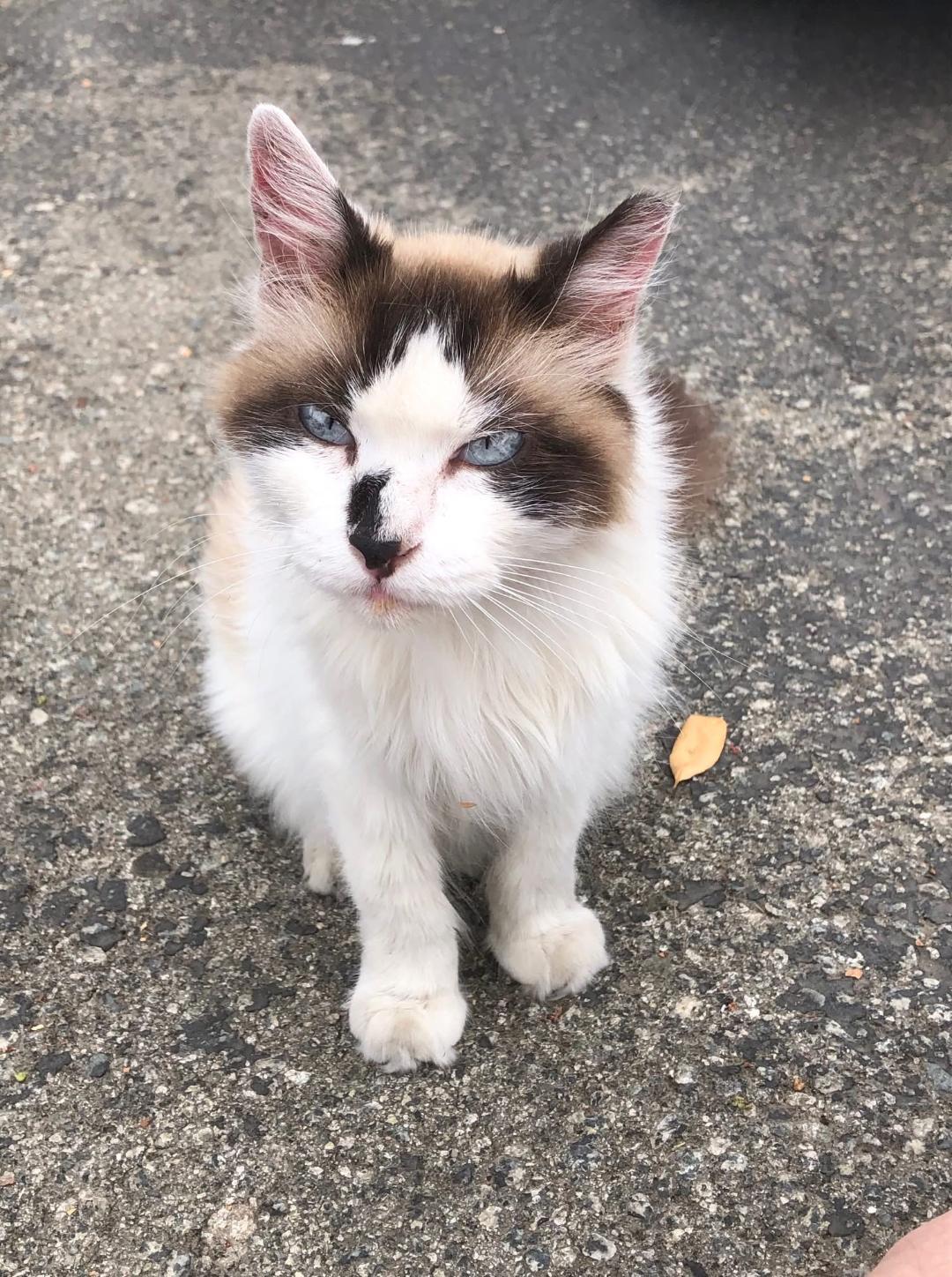 Milo