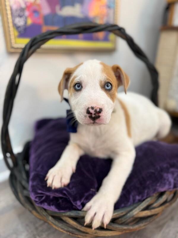 Walter White — thumbnail 3