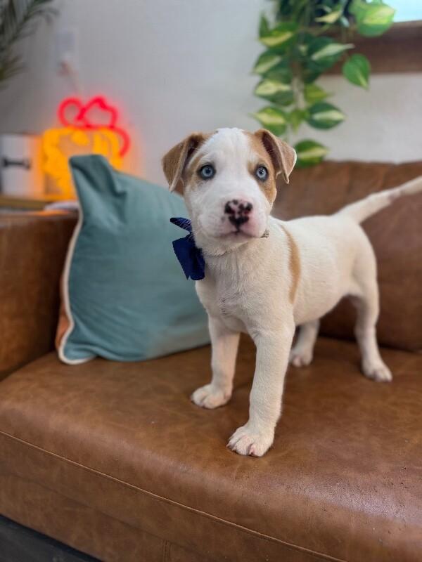 Walter White — thumbnail 5