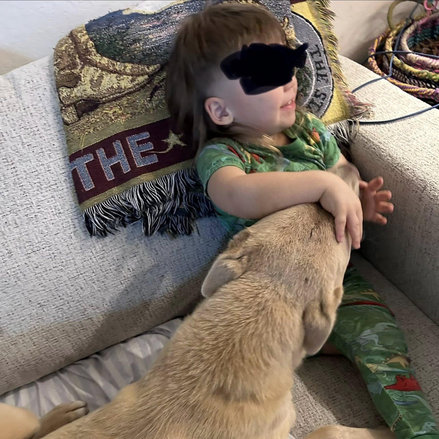 Enlarge Frankie, a Adoptable mixed breed in Portland, OR image 3/6