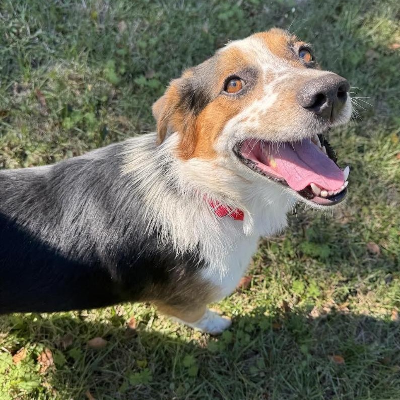 Jayden — thumbnail 2