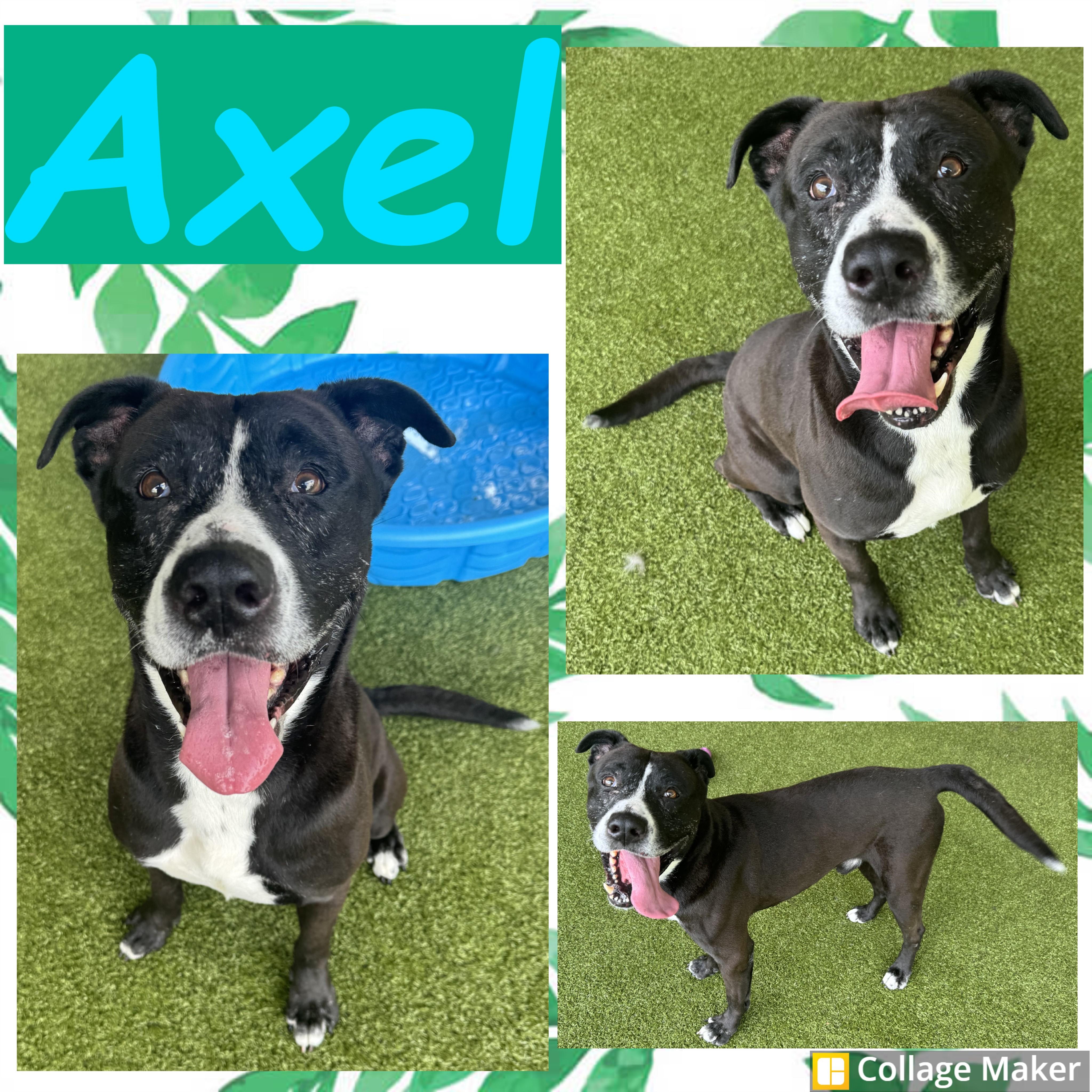 Axel