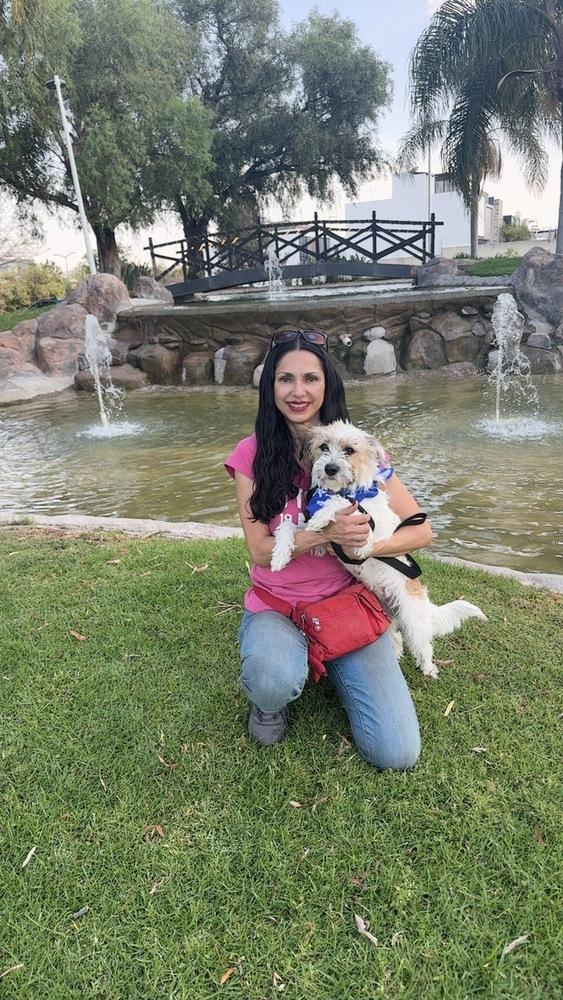 Enlarge Chloe, a Adoptable mixed breed in Gig Harbor, WA image 3/6