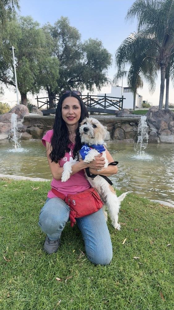 Enlarge Chloe, a Adoptable mixed breed in Gig Harbor, WA image 6/6