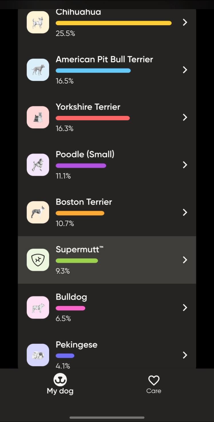 Enlarge Rubble, a Adoptable mixed breed in Salem, OR image 6/6