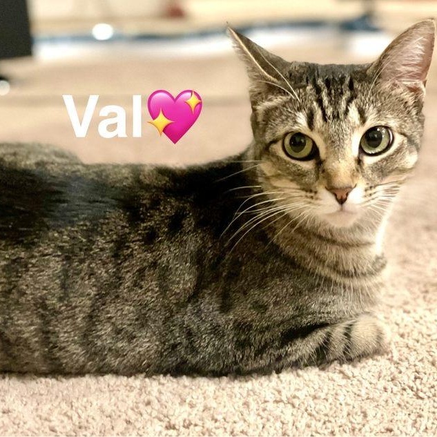 Val 4