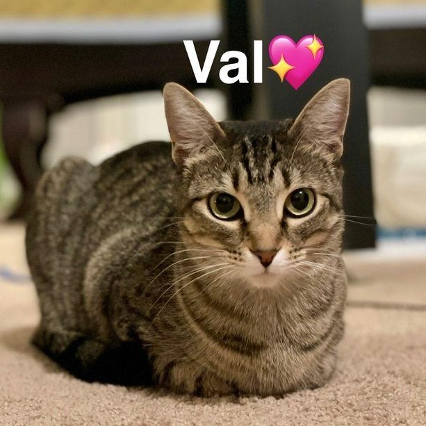 Val 3