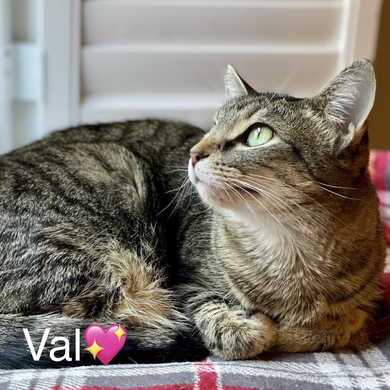 Val