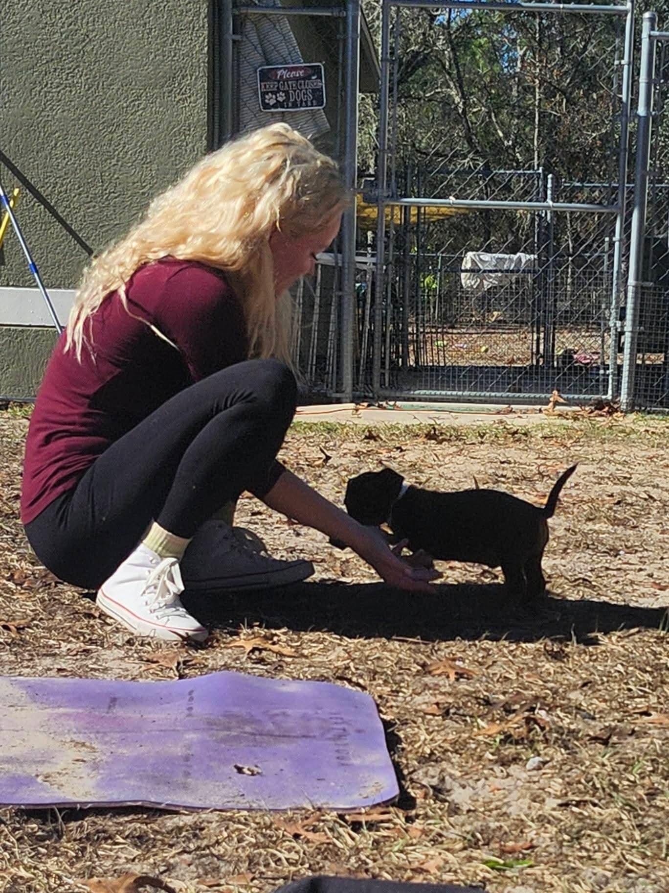 Enlarge Monty, a ADOPTABLE mixed breed in Weeki Wachee, FL image 1/6