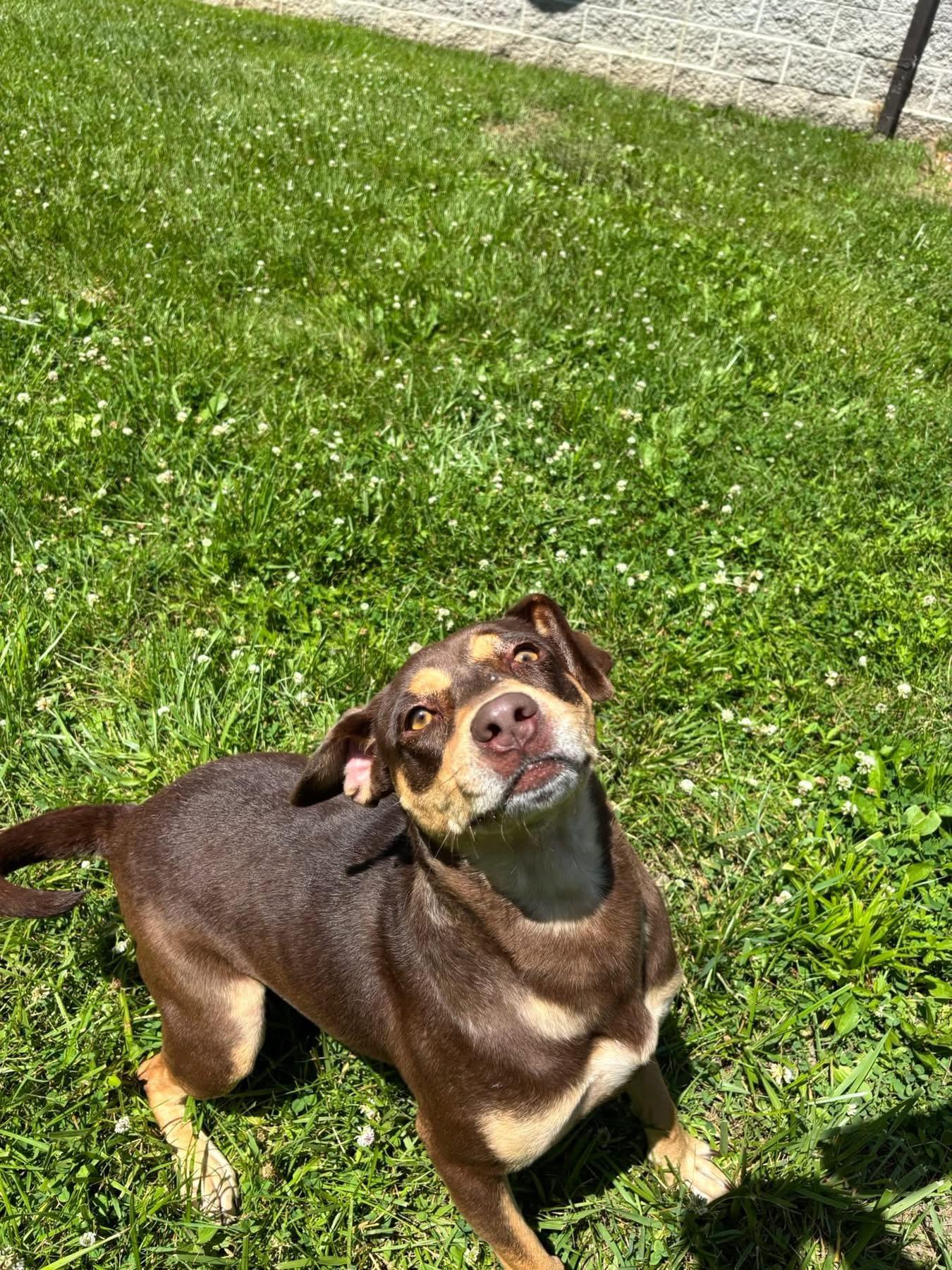 Jacey photo 3