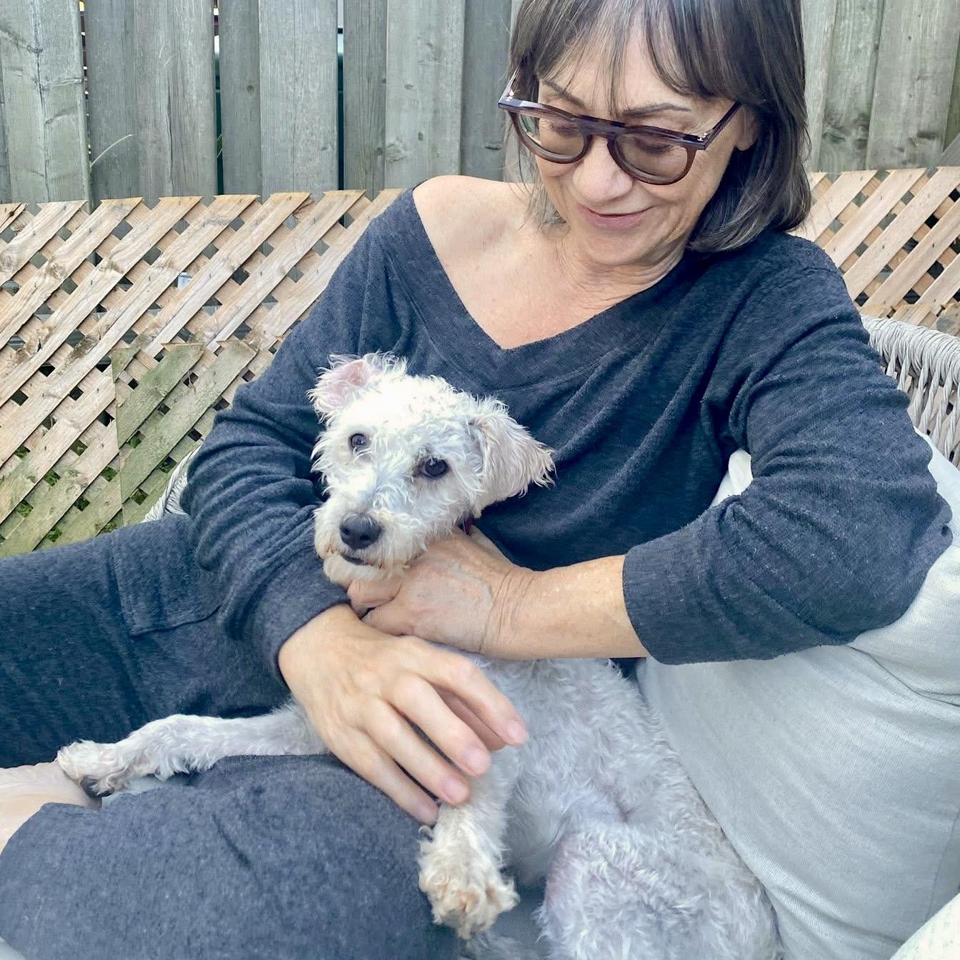 Juliette, an adoptable Poodle in Barrie, ON, L4M 5C3 | Photo Image 5