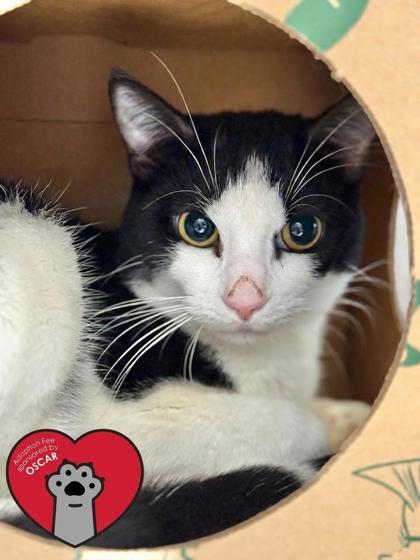 Georgi — thumbnail 2