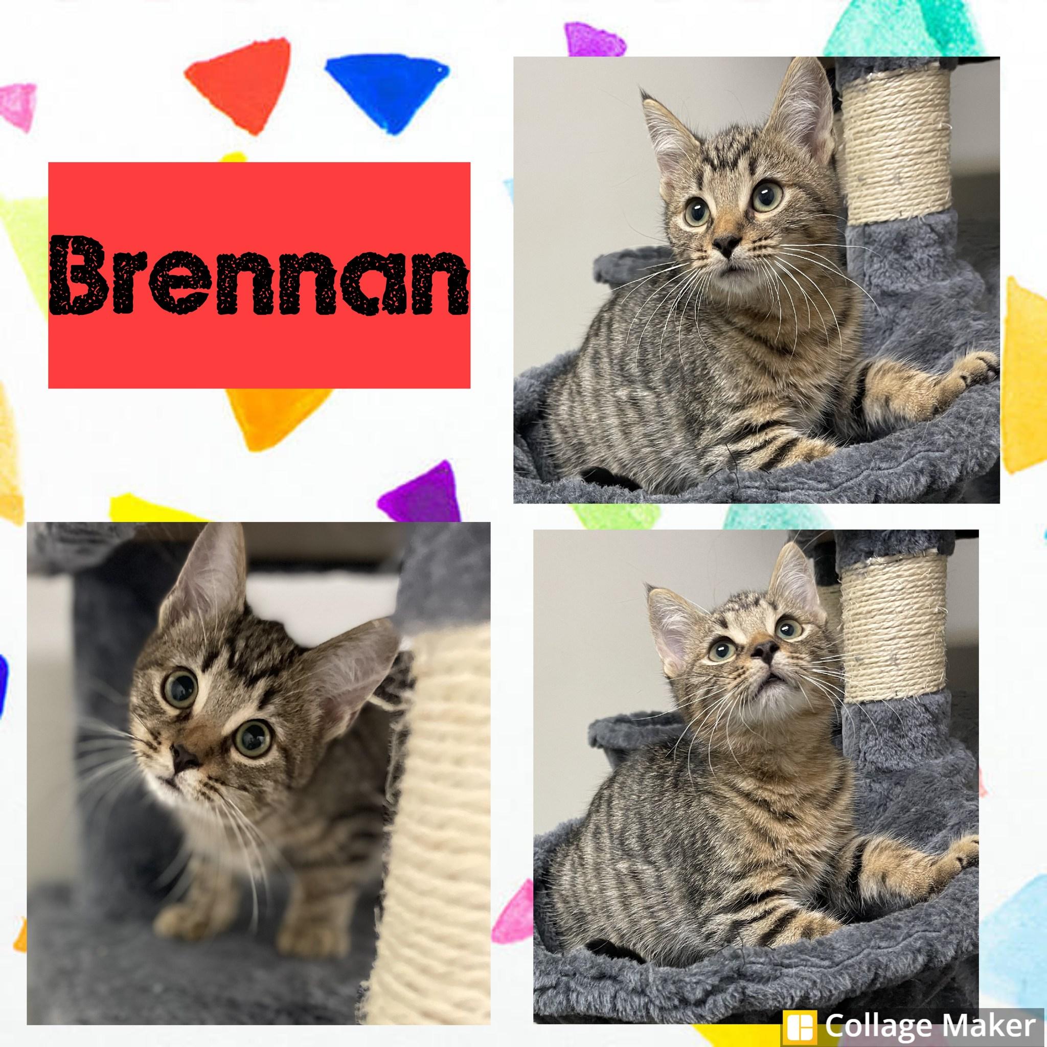 Brennan