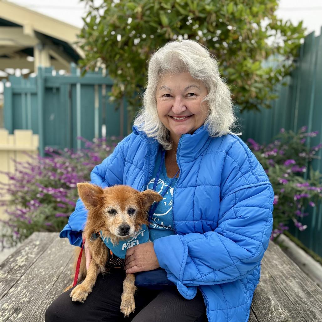 Yeti, a Adoptable Pomeranian in Corpus Christi, TX image 5/6
