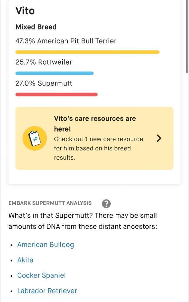 Vito, a Adoptable mixed breed in Sherwood, OR image 1/12