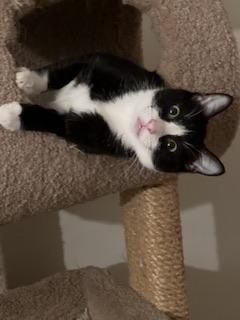 Billy Bob thumbnail 2