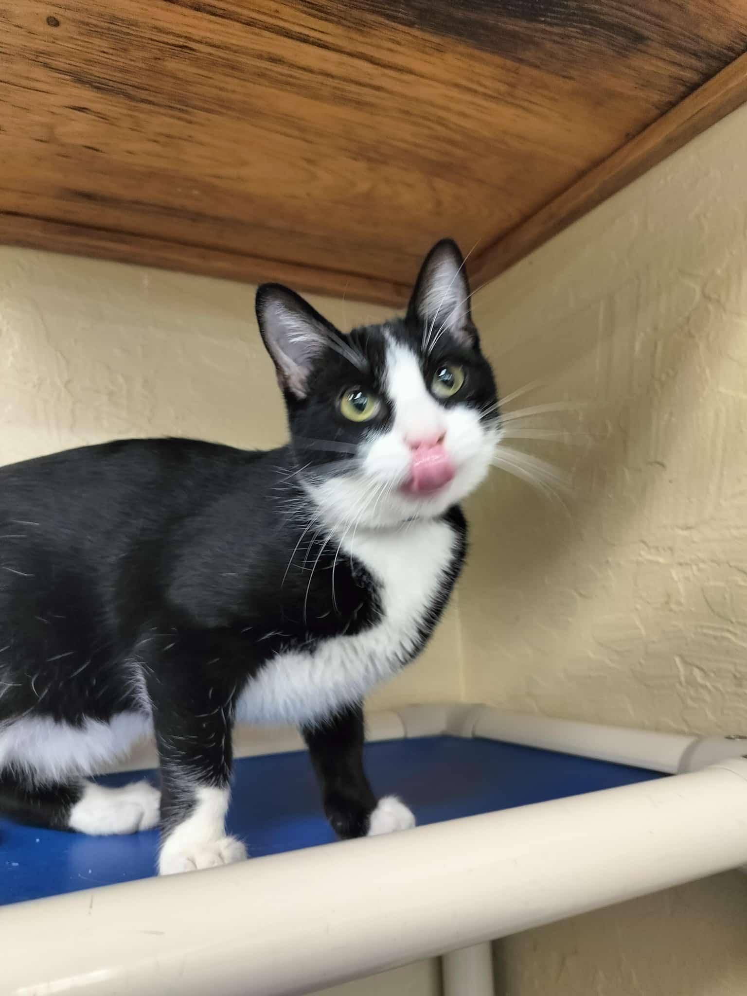 Billy Bob thumbnail 3