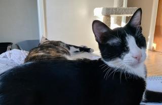 Billy Bob thumbnail 4