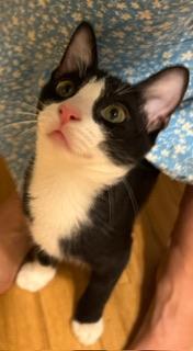 Billy Bob thumbnail 5