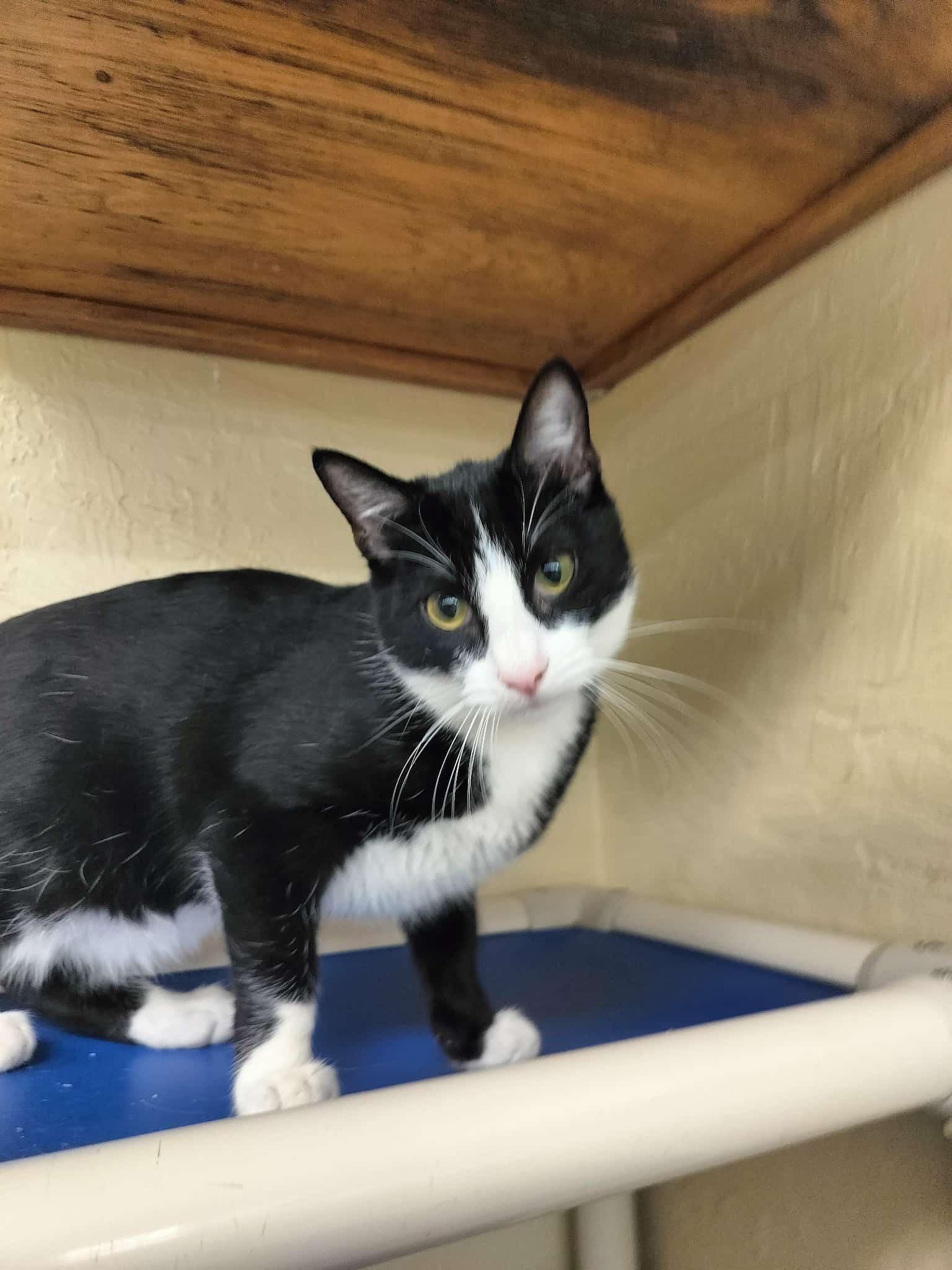 Billy Bob thumbnail 6