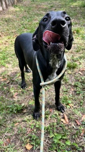 December — thumbnail 2